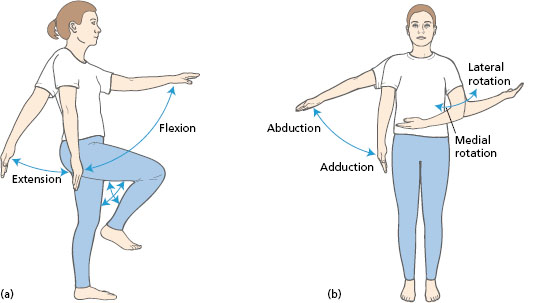 abduction and adduction